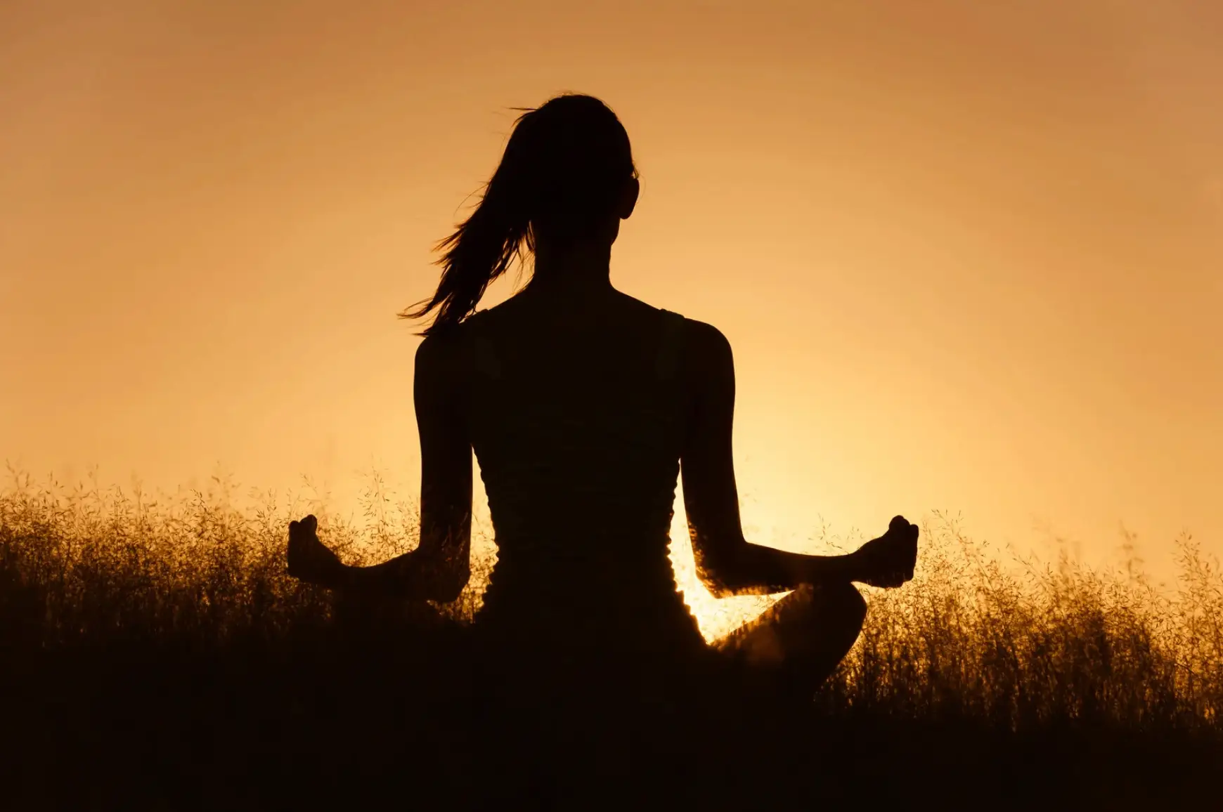 mediter